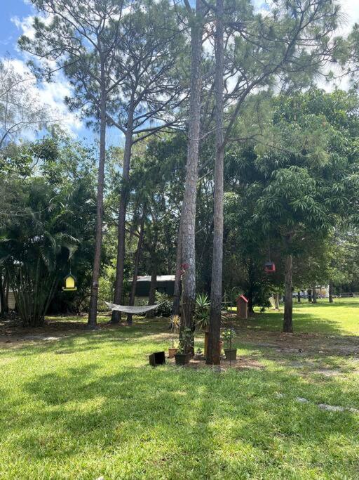 Jungle Oasis In The Heart Of The Treasure Coast Villa Walton Dış mekan fotoğraf